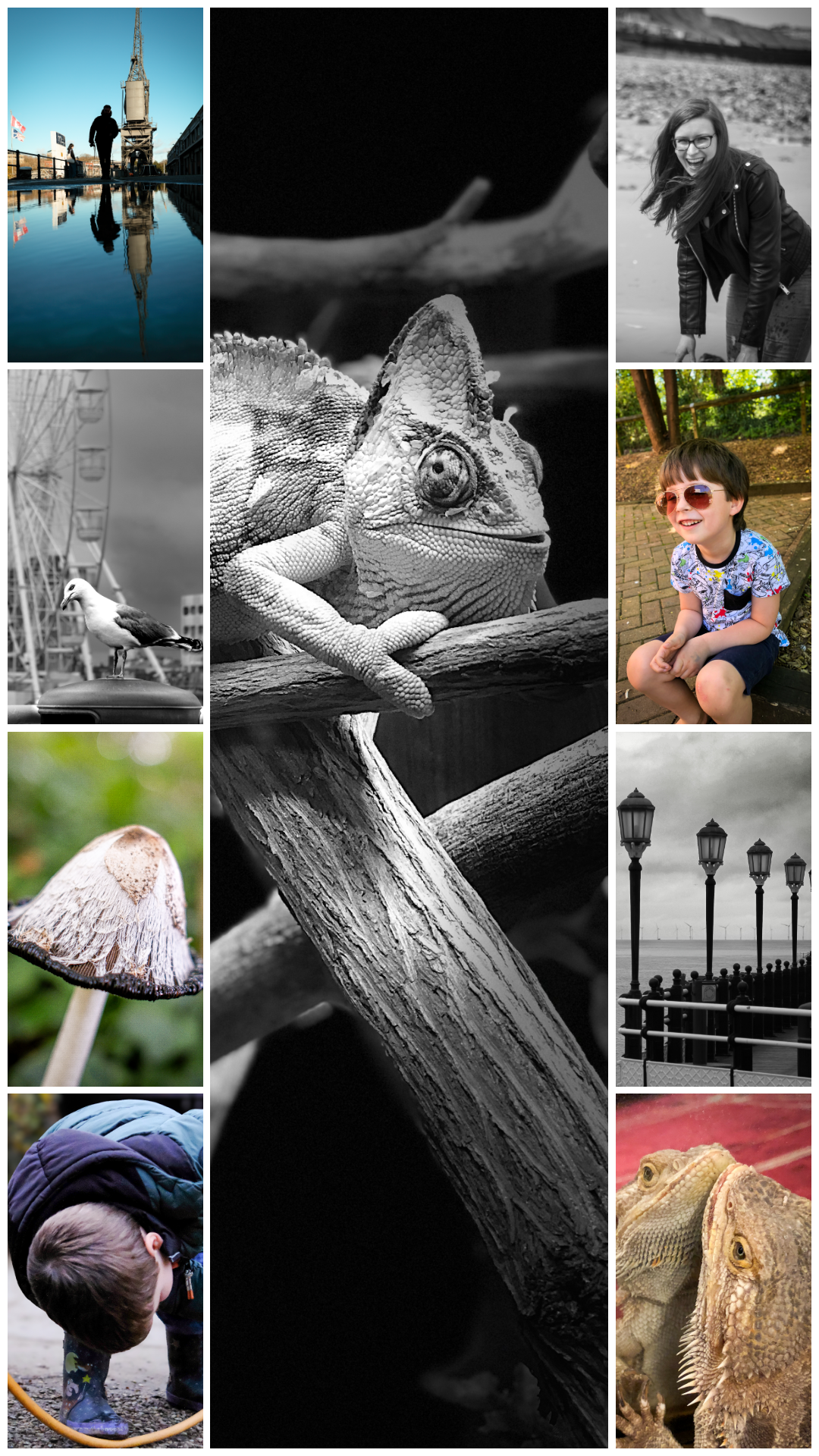 Some of my Photos